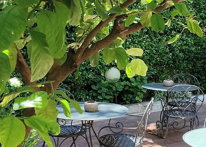 Otel Select Garden 3*