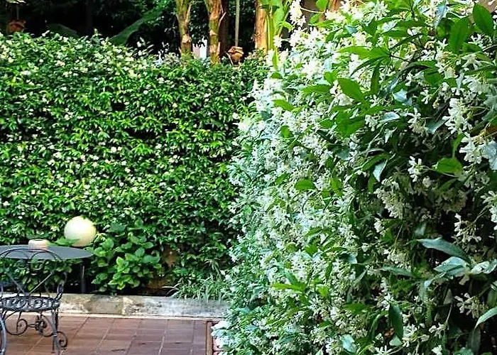 Select Garden