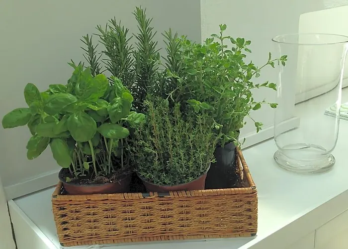 Select Garden 3* Roma